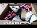I Bought A $2400 Sneaker Mystery Box! (INSANE)