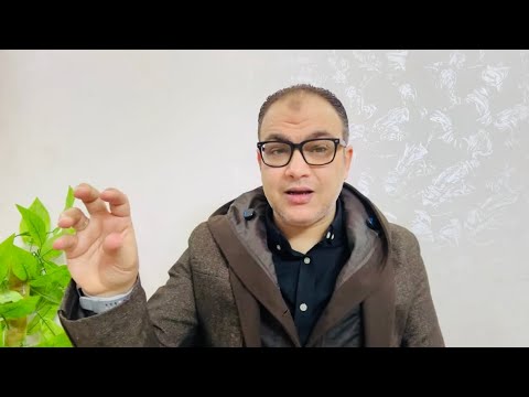 مخاوف الافيال والمنتخب صفعة بولبينة الاهلي والمصري وصفقة مؤجلة رفض افشة والعش لتبادلية الجزار وهادي 