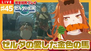 【#ゼルダの伝説TotK】#45 ゼルダの愛した金色の馬🐎✨どこですかー！人参ここにありまーす🥕【御主むむ】