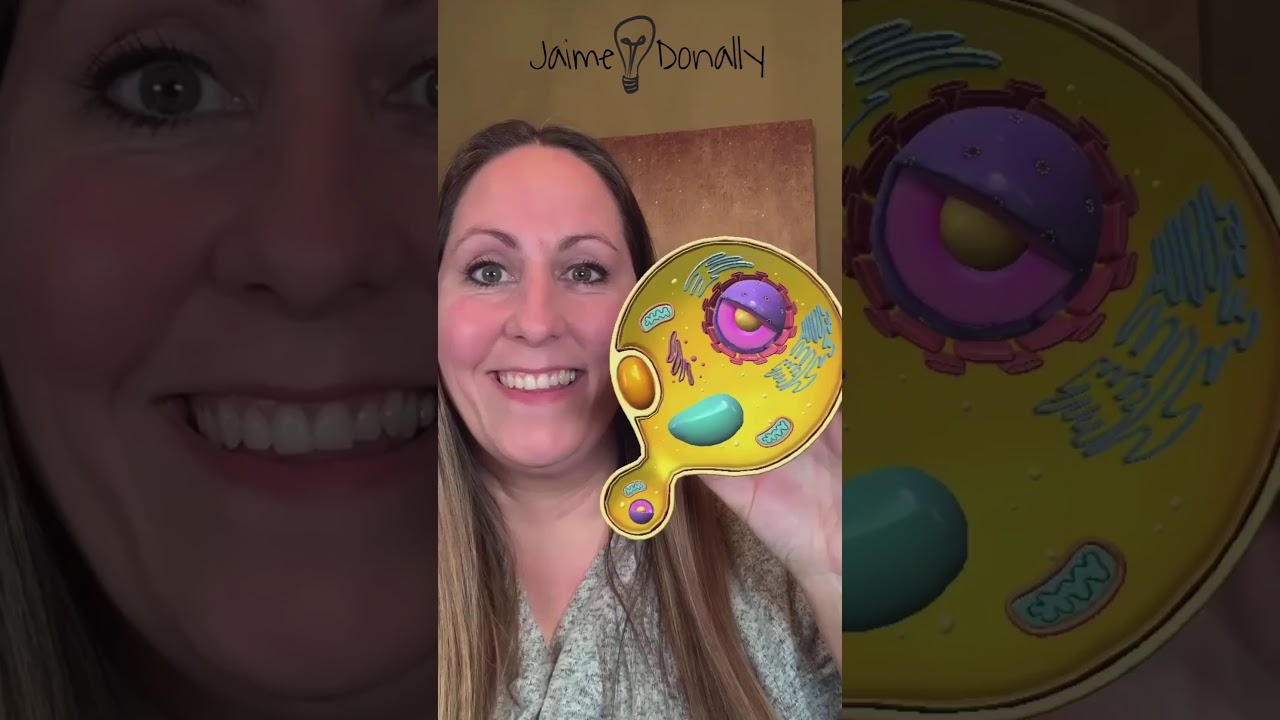 Instagram Reels Effects with Merge 