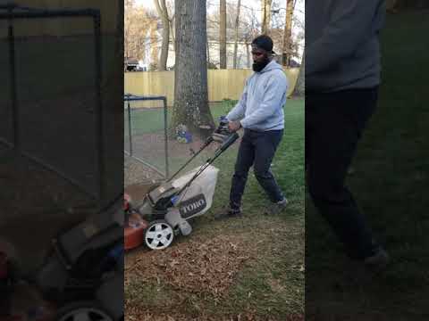 Video: Castails als mulch gebruiken - Tips voor het maken van mulch van vijverplanten