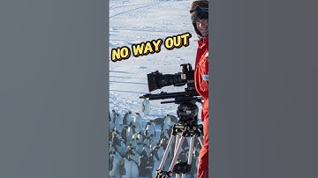 Trapped Penguins Rescued by Film Crew