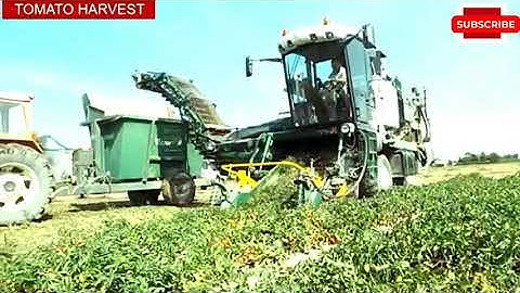 💚Harvest Fastest Workers You Have Never Seen Before Most Satisfying Factory Machines & Ingenious