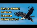 Eagle Spirit Animal Meditation