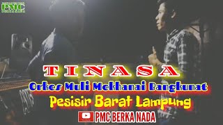 Download Lagu Tinasa Orkes Muli Mekhanai Bangkunat Pesisir Barat New Amelya MP3