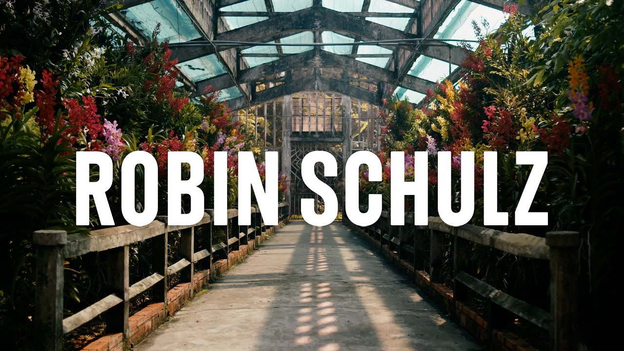 Robin Schulz  Wes   Alane Official Lyric Video