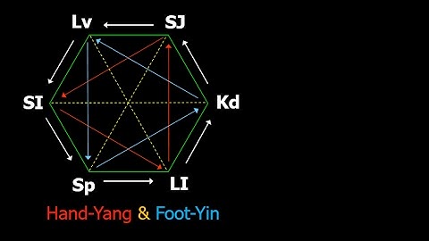 6-element acupuncture: Embrace of Hand-Yang & Foot-Yin triangles