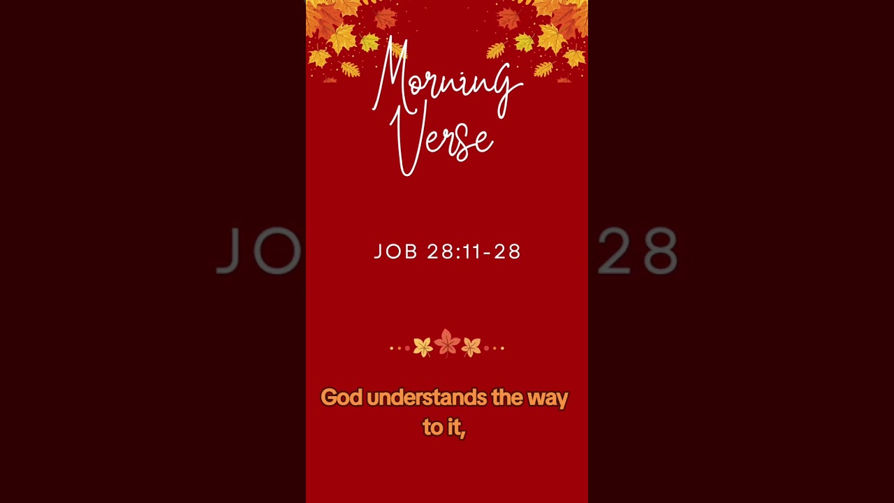 Morning Devotion: May God grant you wisdom and understanding today 