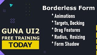 Guna UI2 Borderless Form Net Worth