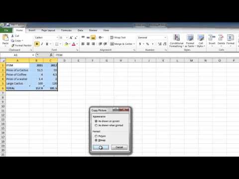 How to Copy Excel 2010 sheet into email