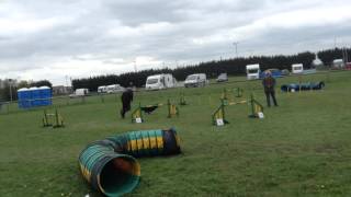 Barry and Nike in  6/7 Jumping WBSDS April 2016