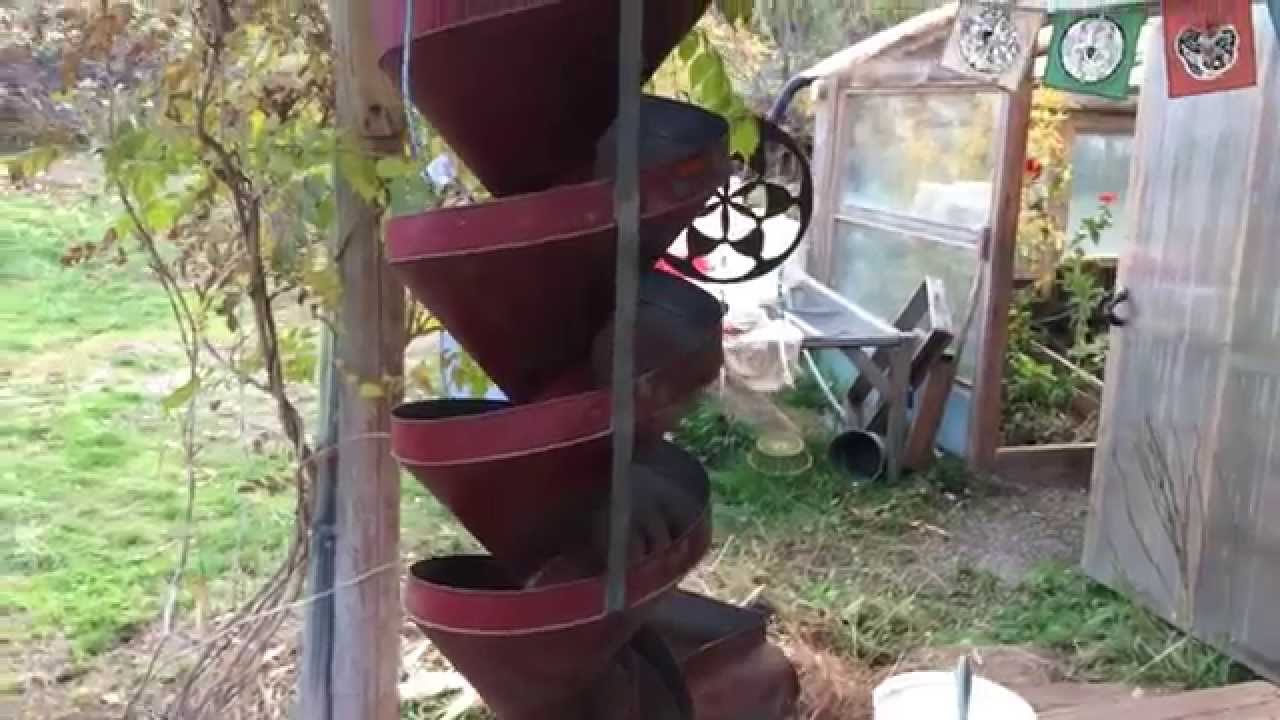 Cleaning Kale Seeds with a Spiral Separator
