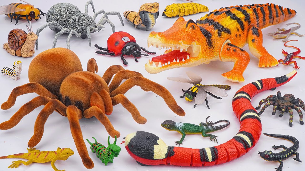 ZURU ROBO ALIVE COLLECTION | UNBOXING Robo Crocodile, RC Tarantula Spider, RC Snake | Review Toys