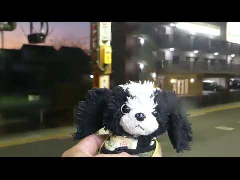 2020.12.7  JR高崎線発車メロディー　スターダストレビュー　夢伝説