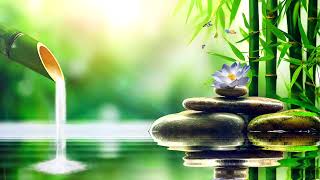 Relaxing Music, Healing Music, Meditation Music, Spa Music, Sleep, Zen, Study Music, Yoga #4