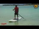 Video: Stand-up paddlbording boʻyicha boshlanuvchilar uchun qoʻllanma