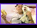 OMG! So Cute Lillian Meets Talking Hamster | Capuchin | Monkey