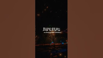 #قرآن_كريم ||بصوت القارئ مشاري راشد العفاسي||حالات واتس||بصوت جميل||تلاوه هادئه