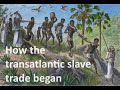 What was going on in subsaharan africa before white europeans arrived in the 15th century