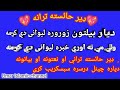 ډیر حائسته ترانه دیار بیلتون زوروره لیوانی دي کړمه ډیر حائسته ترانه دیار بیلتون زوروره لیوانی دي کړمه
