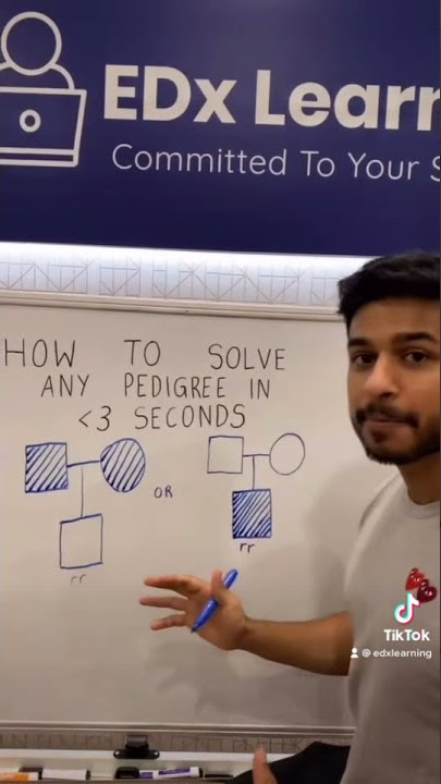 HSC Biology: How To Quickly Solve ANY Pedigree Question | By a 5th Year Medic