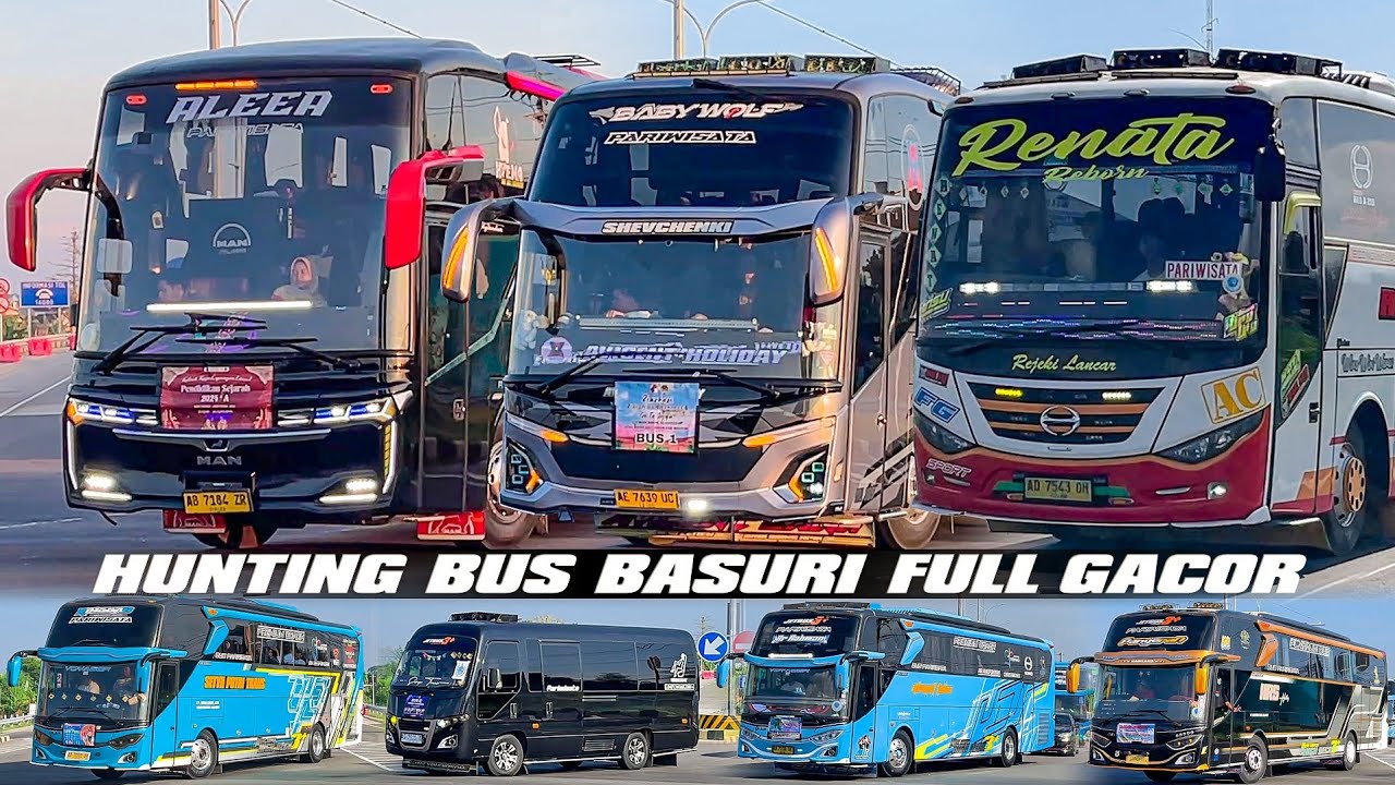 Jetbus Basuri HUNTING BUS BASURI FULL GACOR‼️ Jetbus Jumbo Join Trend P P Apa 12 Not‼ ...