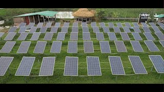 Freedom From Diesel The Promise Of Solar Irrigation Pumps In Bangladesh Iwmi