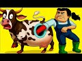Why Cows Have Holes On Their Side