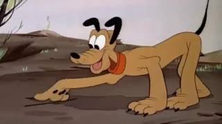 Pluto Cartoon New Compilation 2016 Part 2 of 3
