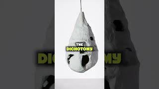 Who is Simone Rocha's biggest inspiration