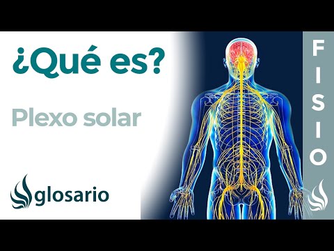 Video: ¿Dónde está el plexo solar?