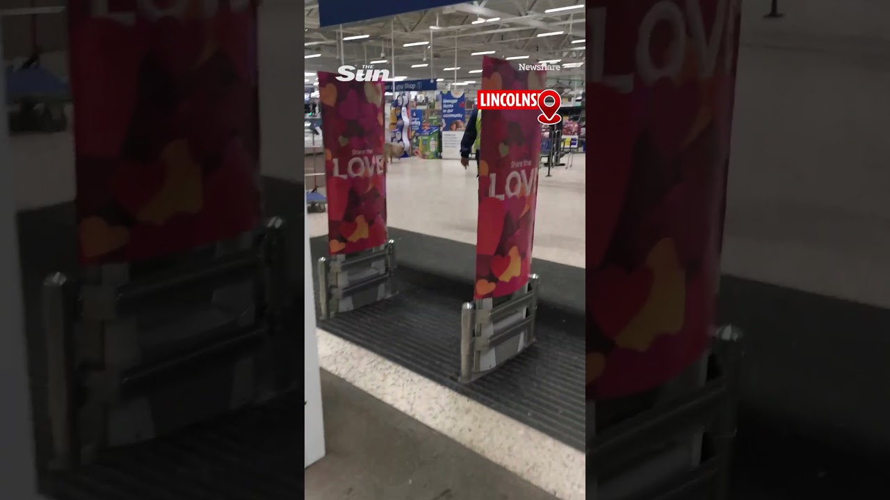 Hilarious moment PIGS sneak into Tesco and run loose through supermarket