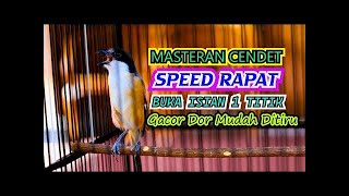 MASTERAN CENDET SPEED RAPAT BUKA ISIAN 1 TITIK, CENDET GACOR DOR ISIAN JERNIH MUDAH DITIRU