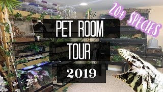 PET ROOM TOUR | Reptile Room 2019 by Maddie Smith 125,477 views 4 years ago 14 minutes, 26 seconds
