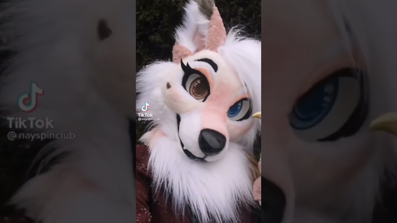 Furry tik tok! 19 YouTube