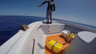 Pêche en Guadeloupe /partie 2 / Sur BOSS