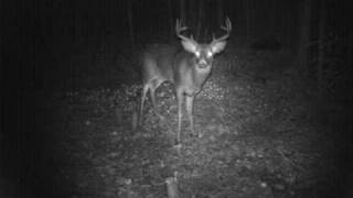 Wide 8 Point 2.AVI