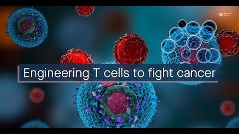 Engineering T cells to fight cancer: problems and prospects