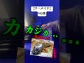 【オリ曲/成功動画はこちらをタップだよ↖️】🟨ヲニョマトペです🟨#マーメイド #ささ #弾き語り #ng集