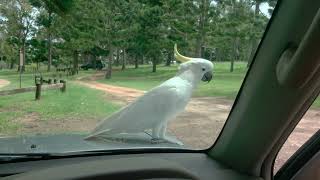 Is That You In There? 4K Hdr