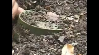 penemuan ranjau di kebun kami