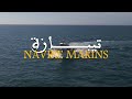 Made in algeria  navire marins