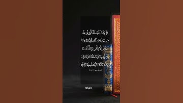 القارئ الشيخ ماجد الحازمي