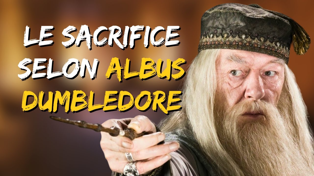 DUMBLEDORE / HARRY POTTER - L'Analyse de Personnage