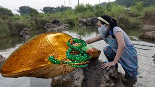 The Pearl Secret of Rainbow River, a secret world of shells hidden beneath the stones