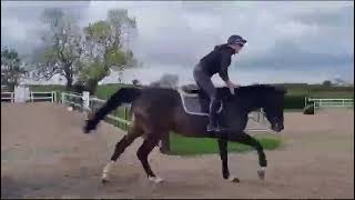 Advert reference - 340054