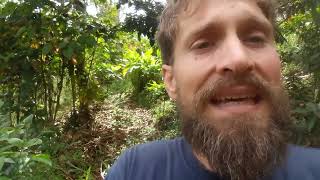 Solving all rural ecological problems with one simple technique?