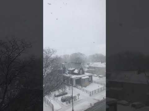 Video: Januari di Chicago: Panduan Cuaca dan Acara