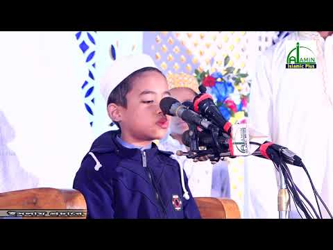 কুরআন তিলাওয়াত | Sweet Voice Quran Recitation Best Quran Tilawat  Beautiful Recitation Quran Tilawat