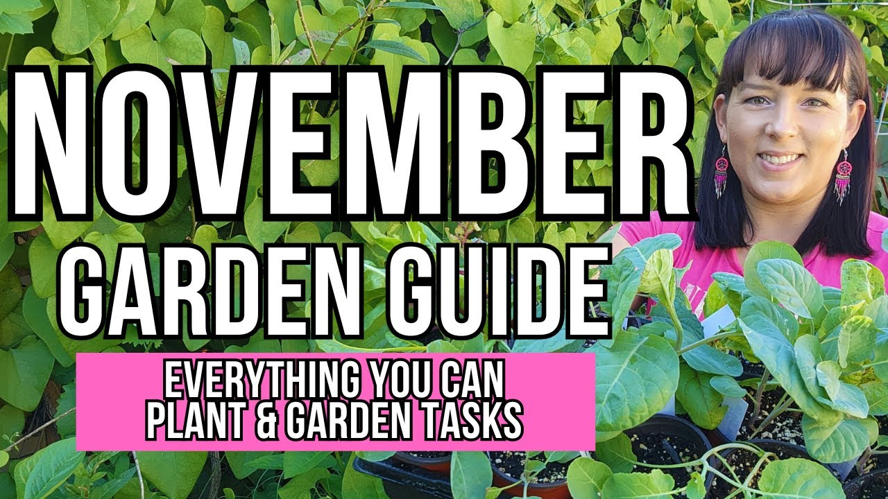 november-garden-guide-what-to-plant-seeds-to-sow-garden-tasks